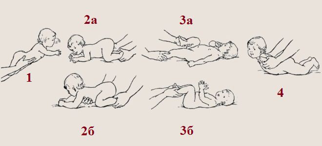 Гимнастика для малышей 6 месяцев